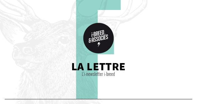Entête de la newsletter